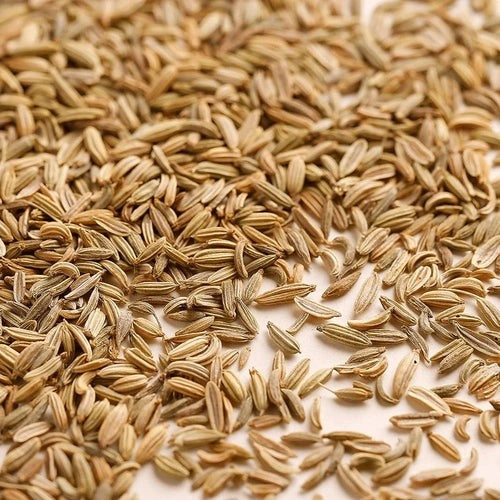 Gourmanity Whole Fennel Seeds 1lb - Gourmanity