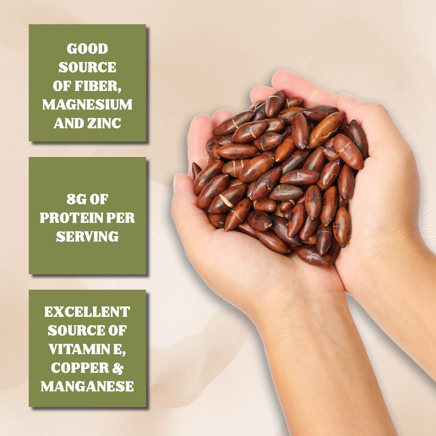 Gourmanity Brazilian Baru Nuts
