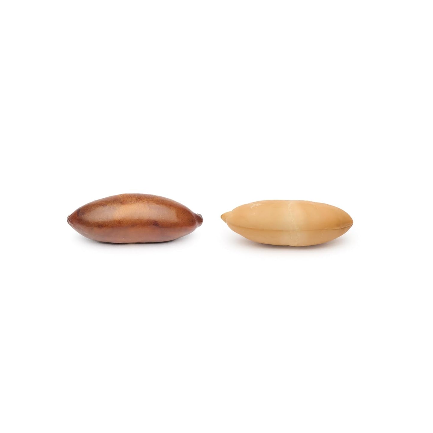 Gourmanity Brazilian Baru Nuts