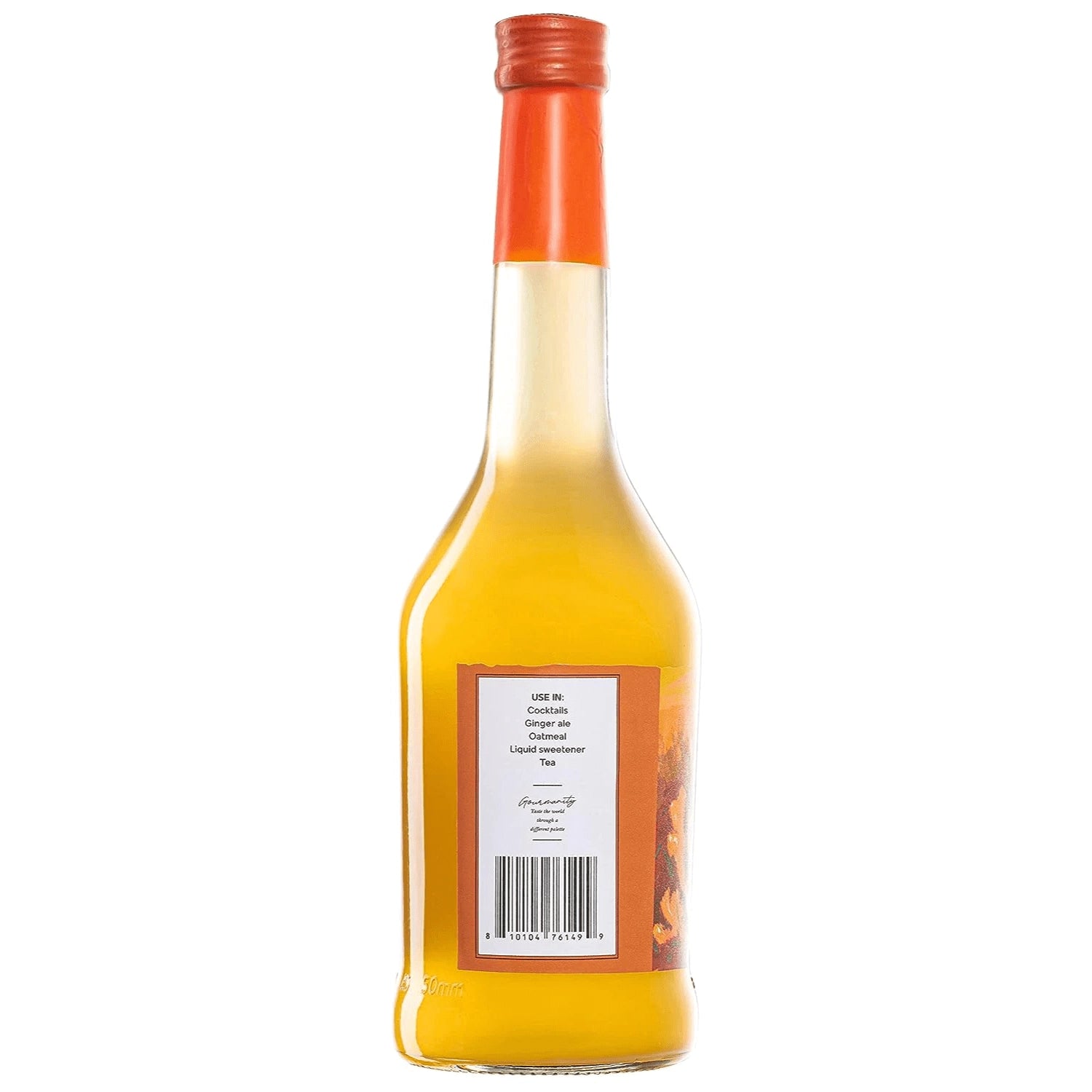 Gourmanity Ginger Syrup 16.9 fl oz - Gourmanity