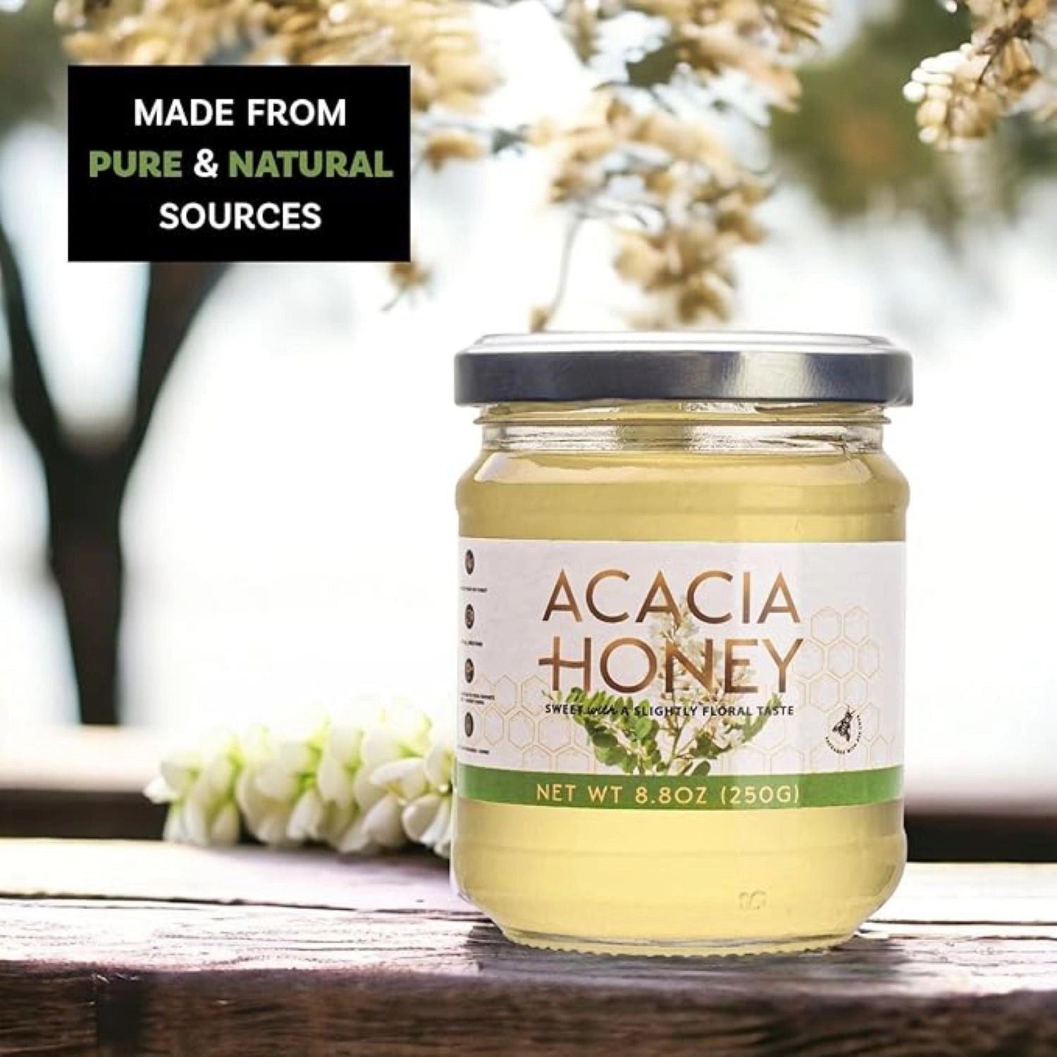 Gourmanity Acacia Honey 8.8oz - Gourmanity